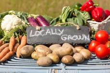Fredonia Farmers’ Market