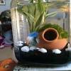 Since betta fish don't like fast currents, try placing some ornaments or plants in front of the filter to hide it and lessen the water flow. Https Encrypted Tbn0 Gstatic Com Images Q Tbn And9gcqhwopkrzzgoa7k2tnyxmuzvsofvmhjwk6hkbmlrwzdt3zbbgrv Usqp Cau