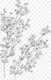We did not find results for: Blume Zeichnen Png Pngwing