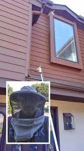 Bizzy bee exterminators has been our sole pest control and termite service provider since 2008. Bee Wasp Hornet Removal Services Bee Wasp Nests In Edison Somerset Lakewood