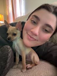 Medical student offering babysitting and house sitting services