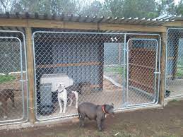 17 Kennel Setup With Plywood In The Middle To Prevent Fights And Dogs Via Simphome Com Diy Dog Kennel Dog Breeding Kennels Dog Boarding Kennels