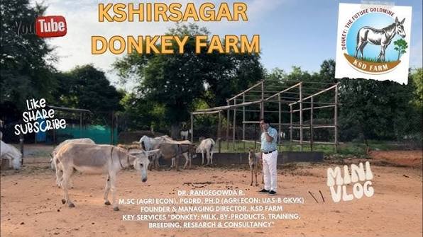 KSHIRSAGAR DONKEY FARM, DONKEY: THE FUTURE GOLDMINE . Dr. Rangegowda R. Founder, KSD Farm