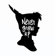 Peter Pan Vinyl Decal Never Grow Up Peter Pan Decor Disney Sticker Disney Decor Peter Pan Peter Pan Disney Disney Sticker