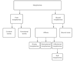 They comprise simple words (i.e. The Classification Of Morphemes Linguistics Stack Exchange