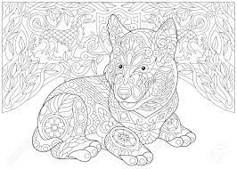 Husky lab mix puppies 7 puppies … Coloring Page Adult Coloring Book Siberian Husky Puppy Alaskan Malamute Coat Of Arms With Two Heraldic Dogs Freehand Sketch Drawing With Doodle Elements Royalty Free Cliparts Vectors And Stock Illustration Image 93081271