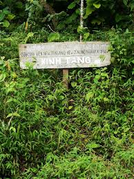 The Chan Family New Zealand