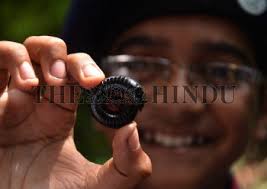 Students documenting Biodiversity at Ambalamedu