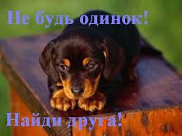 Прикольные поздравления с днем друзей. Den Druzej Prikoly Anekdoty Kartinki Demotivatory Na Fun Tochka Net
