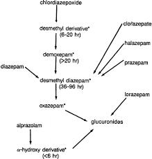 Image result for Halazepam