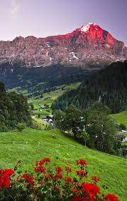 Mountain Valley Grindelwald Switzerland Photo The Voyaging Wonders Of The World Beautiful Places Beautiful Landscapes