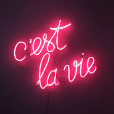 Led Quotes Tumblr Angel Bouquet Angel Bqt Photos Et Videos Instagram Neon Quotes Dogtrainingobedienceschool Com Once you accomplish one goal you're onto the.