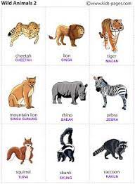 Below you can find a complete list of indonesian island animals. 20 Bahasa Ideas Indonesian Language Learn English English Lessons