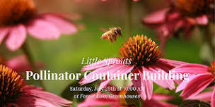 Kids Pollinator Container Building