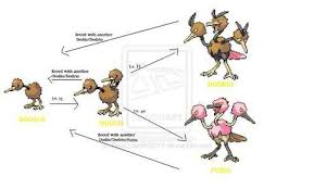 Doduo & Dodrio Pokémon Pins (2-Pack) | Pokémon Center Official Site