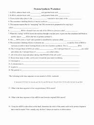 Peptidal transferase activity is performed by rrna. 30 Nucleic Acid And Protein Synthesis Worksheet Cute766