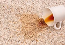Luckily, coffee isn't as difficult a white vinegar: How To Clean Coffee Out Of Carpet 3 Fail Proof Solutions