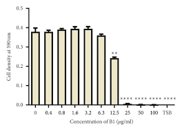 Image result for Triumfetta welwitschii