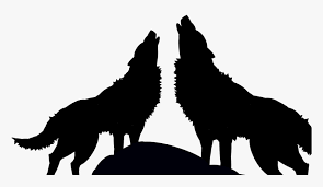 Here freepikpsd is offering 1 million free png images, psd templates, fonts, mockups, cliparts, vectors and transparent backgrounds images for free. Wolf Sillhouette Scsilhouette Black Wolves Black And White Wolves Png Transparent Png Transparent Png Image Pngitem
