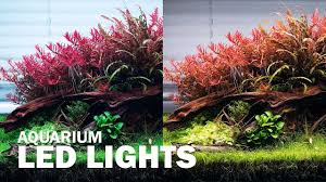 Led lights are manufactured to support aquarium life by enabling conditions under which plants and fish can thrive. Different Led Lights On Our Aquascape Aquarium Lighting For Your Aquarium Plants Youtube