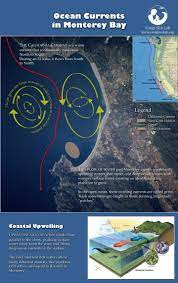 Ocean Currents Coastal Upwelling In Monterey Bay Ocean Current Ocean Crab Habitat