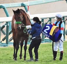 【ワンピースmad】コラソンとロー 二人物語。 【mad/スラムダンク】三井寿：俺はバスケの夢をわすれない、ずっと 世界が終わるまでは wands/ slam dunk アニメ/ 安西先生 バスケがしたいです/ 灌篮高手. Cpujfmr3durb2m