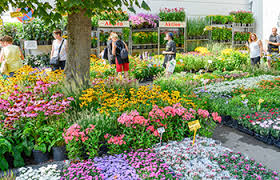 Gartenbaumesse Tulln 1000 Ideen Fur Deine Erholungsoase