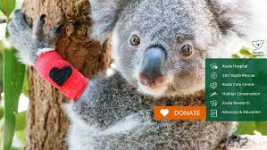 The two kings (King Cobra & King...