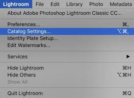 10 Tips To Make Lightroom Classic Cc Run Faster How To Run Faster Lightroom Photo Editing Programs