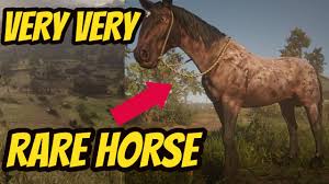 The buckskin mustang is a horse of the mustang breed featured exclusively in red dead online, added to the game as part of the 1.26 bounty hunters update on december 1, 2020. Red Dead Redemption 2 Very Very Rare Horse Rarest Horse In The Game Youtube