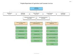 29 Unique Photo Organizational Chart