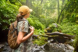 Soft Trekking Tetebatu 1