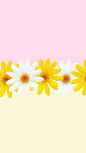 Fondos De Pantalla Panda Fondos De Pantalla Wallpaper Fondo De Pantalla Para El Telefo Flower Phone Wallpaper Flower Background Wallpaper Sunflower Wallpaper