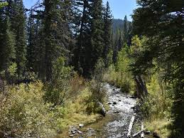 Storm Mountain Uinta Wasatch Cache National Forest Recreation Gov