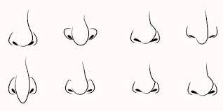 See more ideas about cartoon noses, cartoon drawings, nose drawing. Wanna Know How To Create Your Own Cartoon Character Check This Nose Drawing Create Your Own Cartoon Nose Shapes