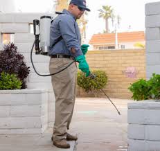 They love our professional service and we're proud to say joshua's pest control is locally owned and operated—a san diego original. 5 Best Exterminators In San Diego