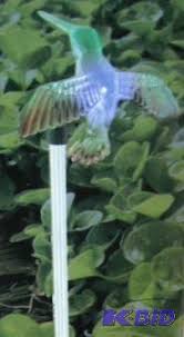 Patriot Lighting Landscape Garden Led Solar L Win It Warehouse 166 Electronics Home Goods Outdoor And More K Bid