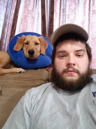 anthony.prusak's Pizza Review at Napoleon's Pizza