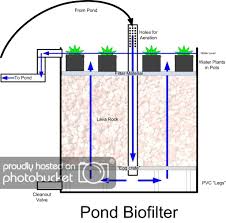My Pond Biofilter Homestead Forum At Permies Aquaponics Pond Aquaponics System