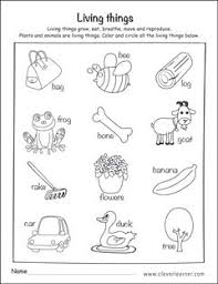 Living And Non Living Things Worksheet Science Worksheets Kindergarten Worksheets Free Kindergarten Worksheets