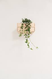 46 Minimalist Aesthetic Wallpaper On Wallpapersafari The best selection of royalty free flower minimalist floral vector art, graphics and stock illustrations. 46 minimalist aesthetic wallpaper on
