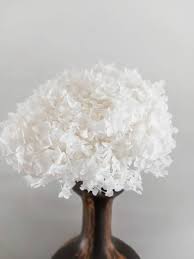 We did not find results for: Pin On Wreaths And Dried Flowers By Belle S Boutique Au