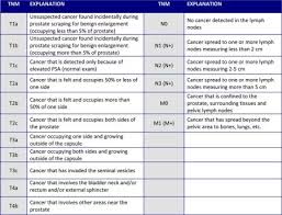 In the new eighth edition of tnm staging, the regional lymph node (n) classifications and the unified map of lymph node stations remain unchanged from the prior edition. Clinical Stage Vancouver Prostate Centre