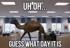 What day is it colin? 60 Funniest Hump Day Memes To Survive Wednesdays Hump Day Humor Funny Pictures Haha Funny