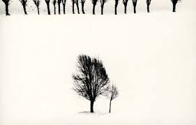 Artnet Magazine Black And White Photography Abba Photography
