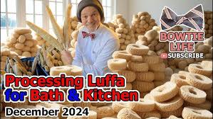 Image result for Luffa