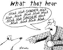 Maybe you would like to learn more about one of these? Why Doesn T My Dog Listen To Me