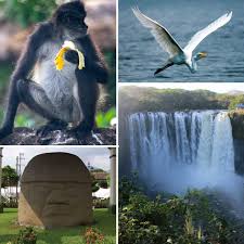 Catemaco Y Los Tuxtlas Con Noche En Nanciyaga Tours En Veracruz