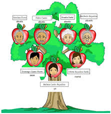 We did not find results for: Arbol Genealogico Proyectos De Arbol Genealogico Arboles