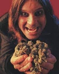 Sandra Walraven's Instagram, Twitter & Facebook